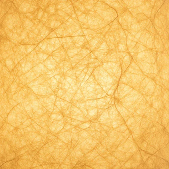 The Solestra Lamp - Solvike